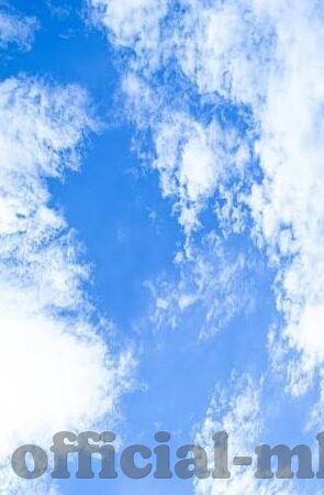 29日世界杯比分预测-29日世界杯比分预测，激情与策略的碰撞