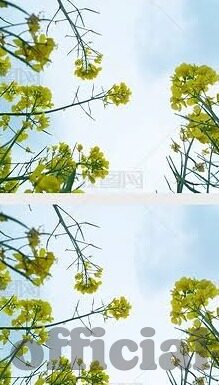 世界杯巴拉圭强吗-世界杯巴拉圭，实力与战术的均衡